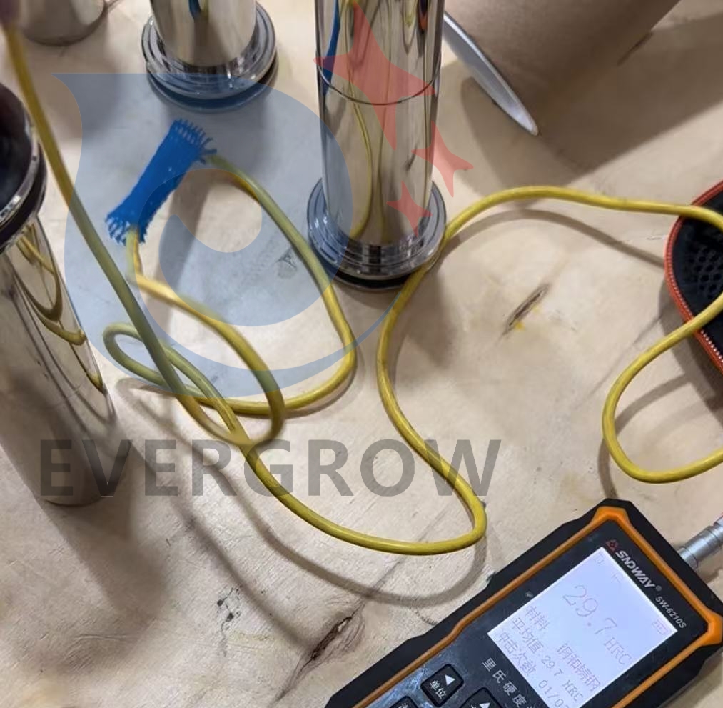 30173958 Тест выстрела 29,7_Evergrow