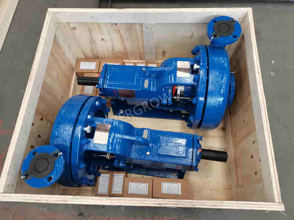3x2x13-250 MCM centrifugal pump_evergrow3